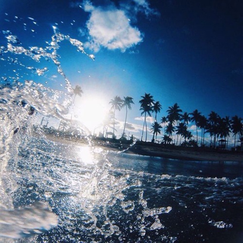 magia d sol