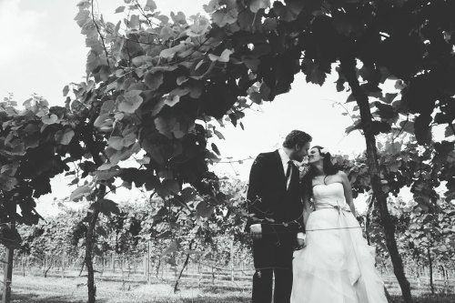Stephanie &amp; Matt&rsquo;s Tennessee Winery Wedding. See Gallery »parker young 