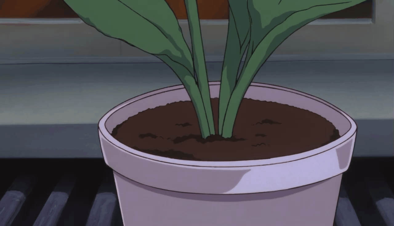 15 Anime Characters Who Have Plant-Based Powers