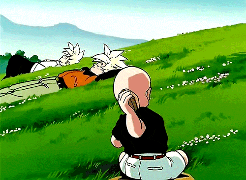 tumblr_obl9paQtST1tgy4o5o1_500.gif