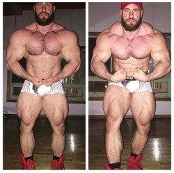 Antoine Vaillant