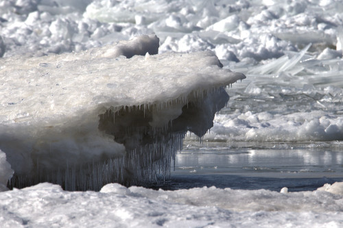 Frozen jaws on Lake Michigan, dripping icicles.