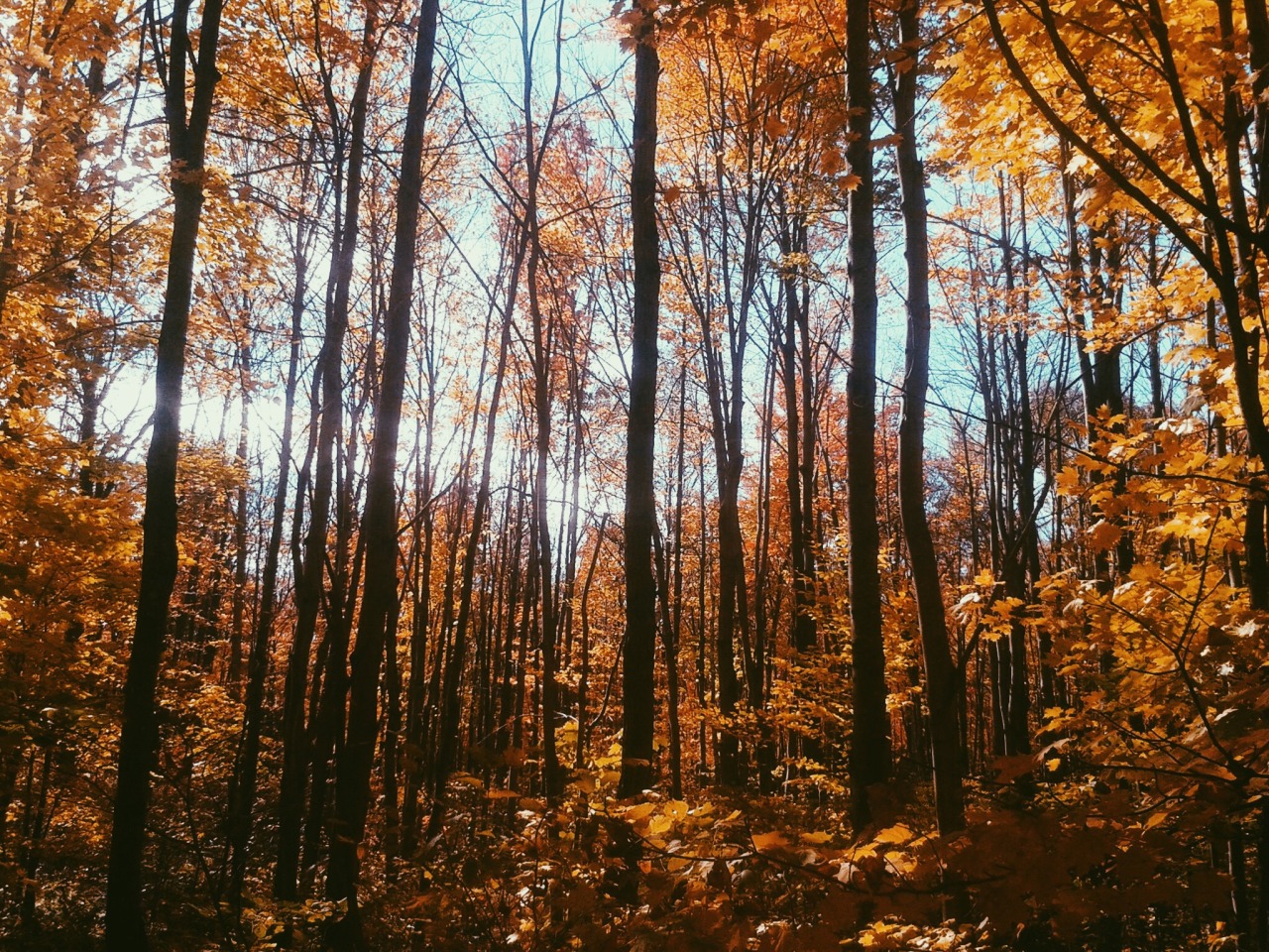 danielodowd:  http://farawayformokay.vsco.co/