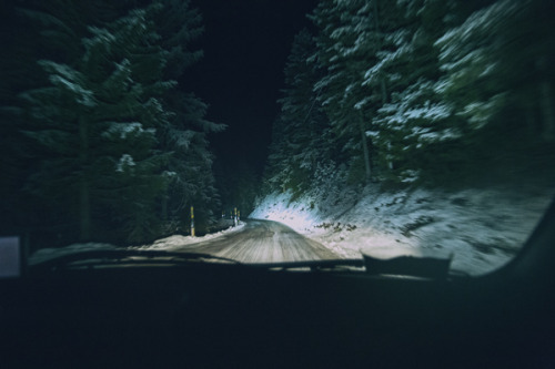 mystic-revelations:Into the Wild  By Lukas Furlan