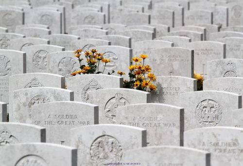 british and commonwealth world war one graves
