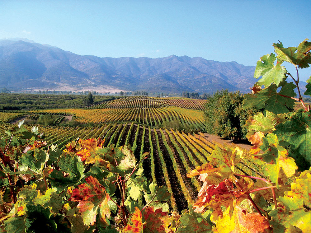 Colchagua