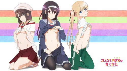 theecchioasis: How to Raise a “Boring” Girlfriend (Saekano)