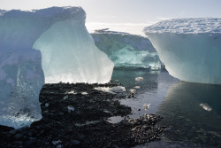 lehroi:  Jökulsárlón Ice, 2012. Kris Graves