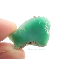 structureminerals:  Chrysoprase rough from