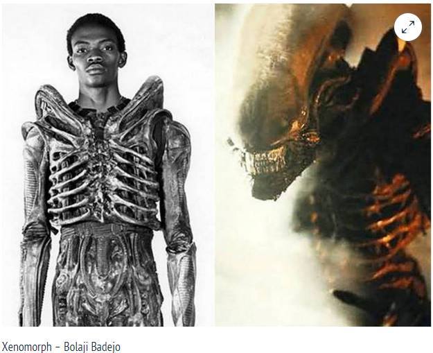 Xenomorph - Bolaji Badejo
...