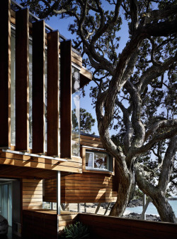 modernizing:  Thorne Bay House by Bossley Architects, located in Takapuna, New Zealand.  A compact house designed for a beautiful but small and near-impossible site! The desire not to damage the trees or their extensive root systems, combined with the