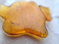 xoxoviolett:  Cotton candy og