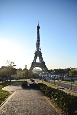 reals:  Eiffel Tower | Photographer 