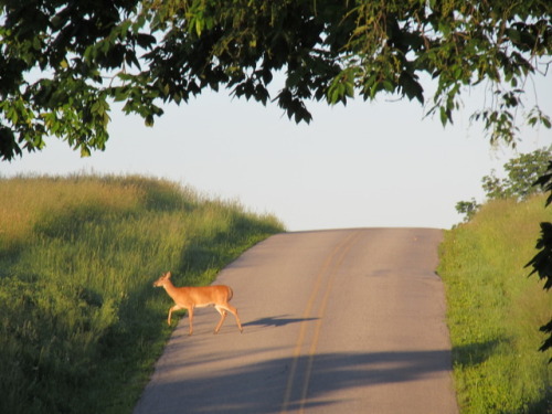 But soon it was back down to earth and the very real traffic congestion problems of Albany Township.