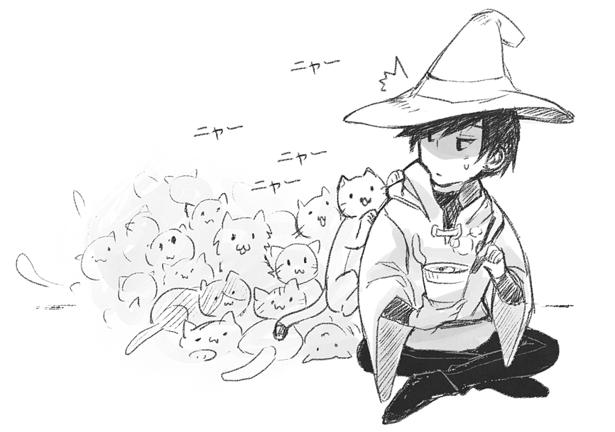 loucre:a witch that attracts cats