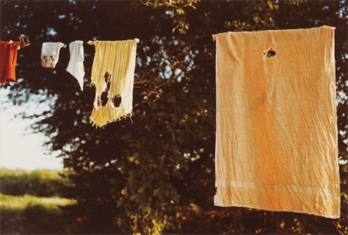 neshamama:  william eggleston, “untitled (laundry line),” c.1970s, chromogenic print