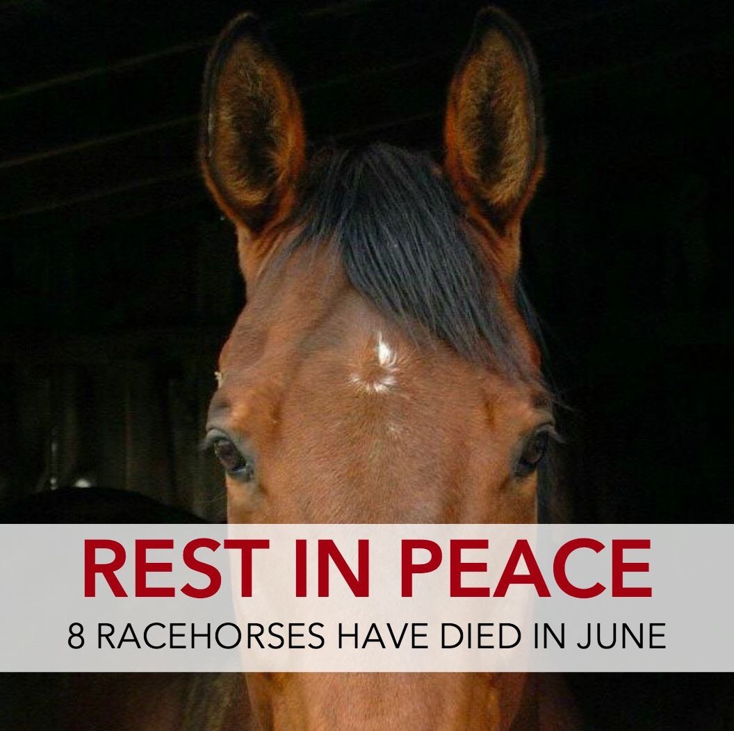Horsemanship, Not Forcemanship.