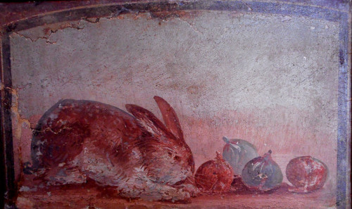 theartofrabbits:Rabbit with Figs, wall painting from ancient Herculaneum, 45-79 CE