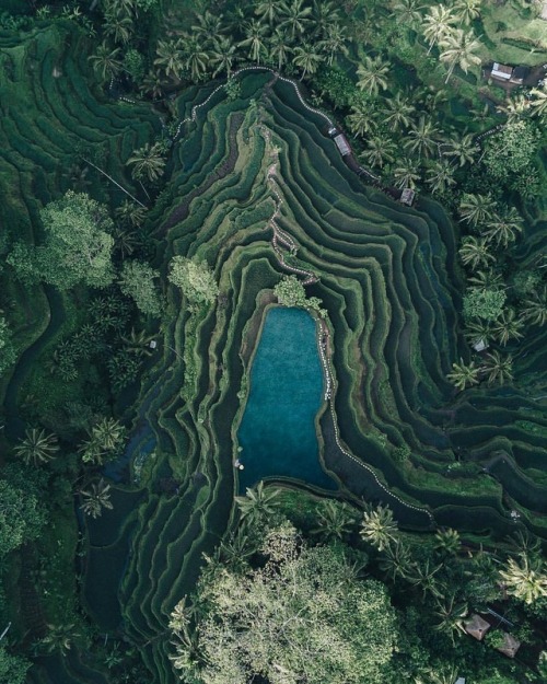 Deep Ecology 〰️ An ecological and environmental philosophy promoting the inherent worth of non-human