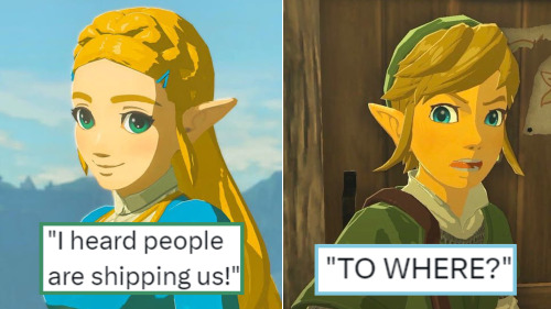 Silly Gays
