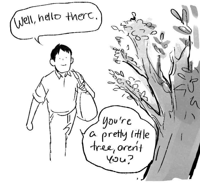starfleetrambo: He told me the name of the tree but I forgot what it was.   ⭐’s