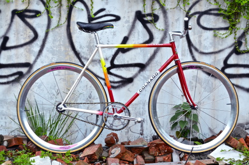 davewellbeloved: Lovely (via Lockedcog.com – Bikes on the Streets. » Blog Archive » Anson’s Colnago 