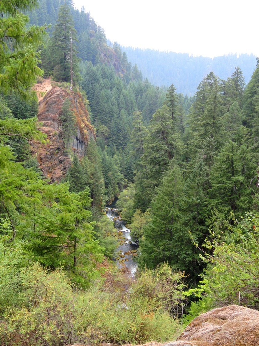 earthen-empress:  wyeasttokaala: Toketee Falls Trail Along Umpqua Highway (OR-138)