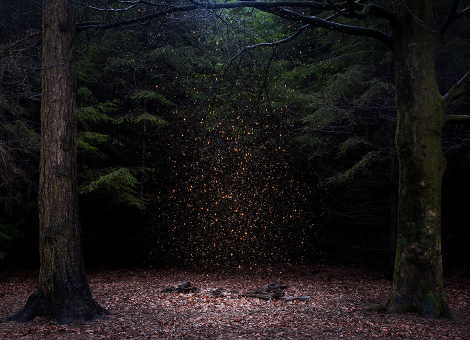 davidesky2:  by Ellie Davies, via Beautiful/Decay.