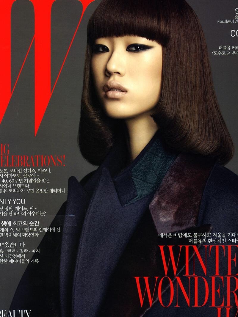 korean model sora choi digital portrait painting Poster for Sale by wruby