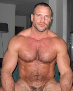 musclestud:  wrestlehead: myfavoritemusclemen:  Jim Ferro  Robert Basile  WOOF!  SEXY, HOT, &amp; HANDSOME!  MMM .. BRING IT!~