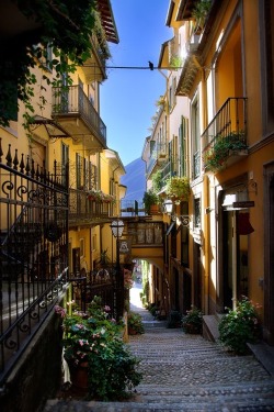 nm-gayguy:  invocado:  Bellagio on Lake Como |