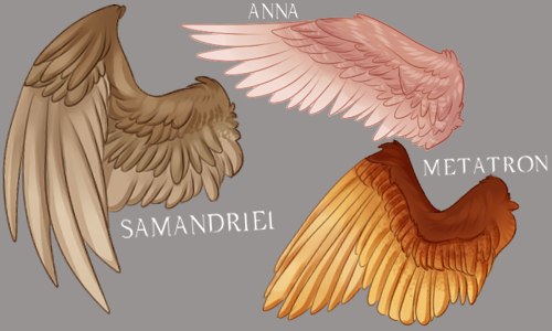 sideburns-and-trenchcoats:  jesus christ. finally done with this Anyway, here is my headcanon of the angel’s wings~ this made me very happy. so many wings. mhpmhm pmh  