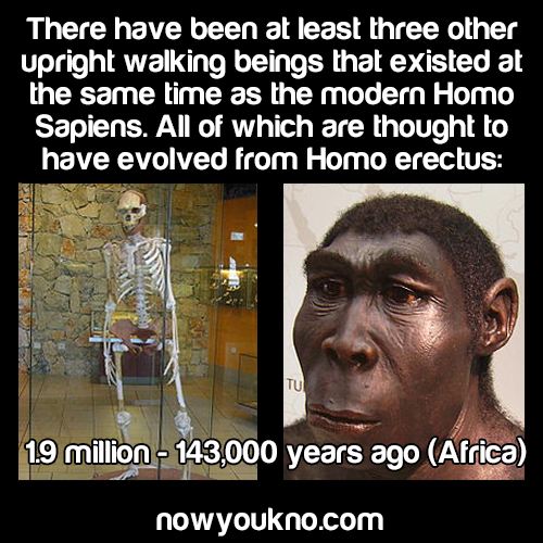 nowyoukno:  (Sources: 1, 2, 3, 4) for more facts follow NowYouKno 