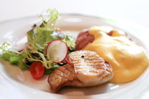 egg poached in Burgundy wine with grilled mushroom and salad (by Duangmon C.)