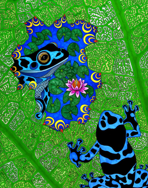 praxter: The Frog Pond by Phil Lewis
