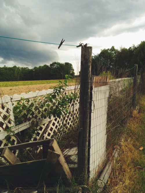 “Untitled”Saint Matthews, South Carolinaphotos by Raymond T. Perkins IIIinstagram / tumb