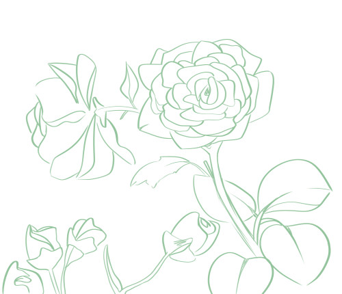 $Discount$ Reference Sketches