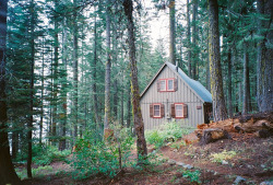 priveting:  Baxter Cabin (by A. Cheng) 