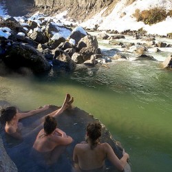 canadiannaturist:eartheld:ayearofdeepcreek:#wewokeuplikethis #hotsprings #canada #iwokeuplikethis #wintercampingmostly nature  ayearofdeepcreek where in canada is this?? i’m from canada and i’d love to go to a place like this! the only place i’ve