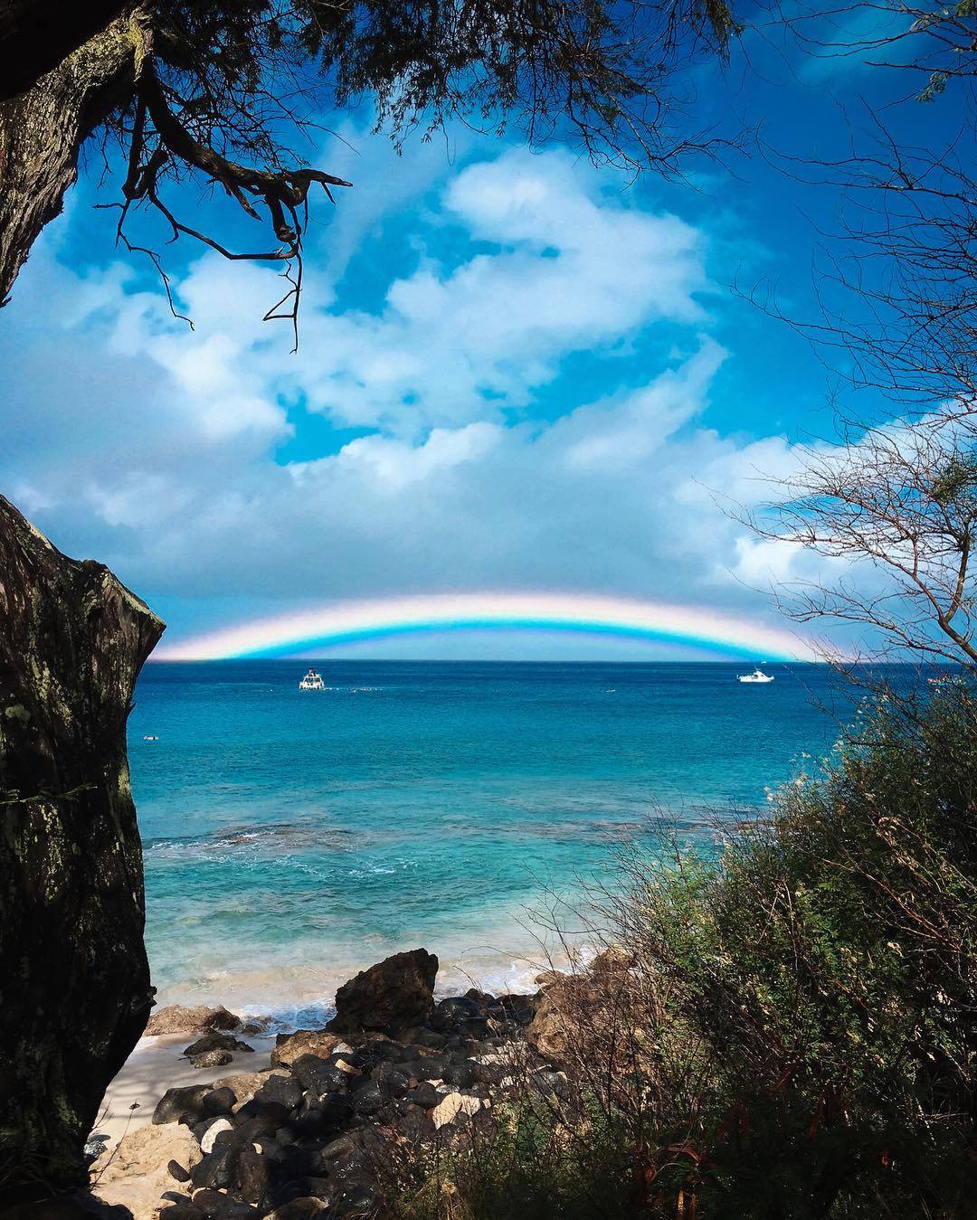 Take me to the ocean