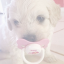dolldoghter