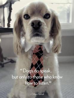 berryworthy:  Loving Quotes About Dogs : theBERRY