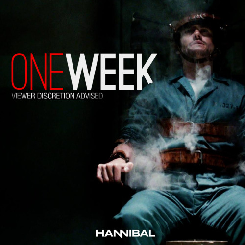 nbchannibal:Sharpen your knives!