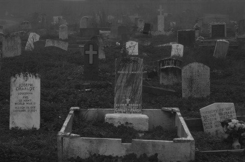 corpxe.tumblr.com/post/62575742236/