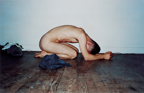 vhyl:Wolfgang Tillmans,  like praying I & II, 1994