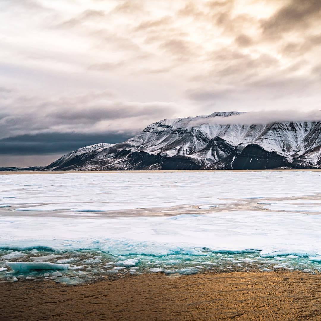 nythroughthelens:
“ Arctic. Ice floes at sunset. (at Norwegian Bay)
”