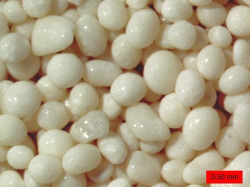 OoidsUpon first glance, these small, rounded grains look like the white sand you would expect to fin