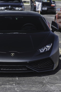 thelavishsociety:  Intimidation by CrayS Photography | LVSH