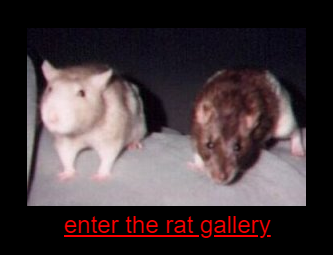 [x]