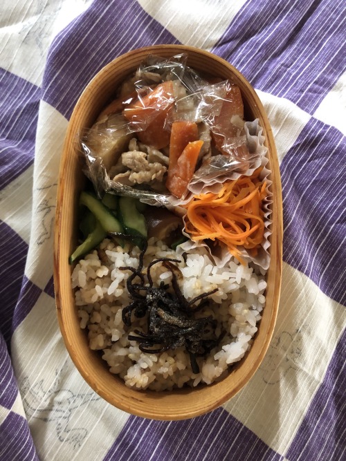 obentoart:posted by @tmk527 #obentoart #お弁当　肉じゃが。椎茸の梅煮ときゅうりの和物。人参サラダ。